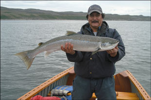 Leaf River Salmon - Click for a larger version